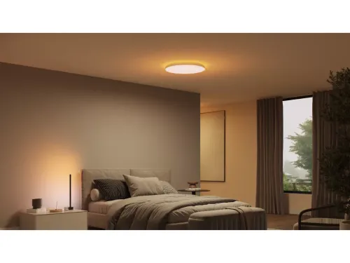 Không gian ánh sáng trắng và màu Hue Datura Ceiling Light L