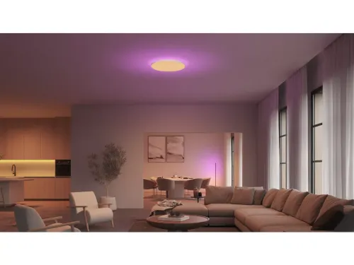 Không gian ánh sáng trắng và màu Hue Datura Ceiling Light L