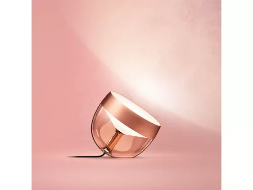 Không gian ánh sáng trắng và màu Hue Iris SE Copper